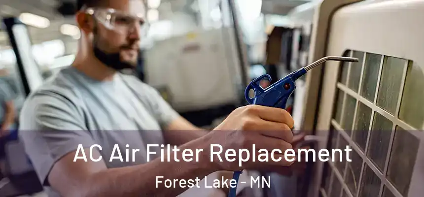  AC Air Filter Replacement Forest Lake - MN