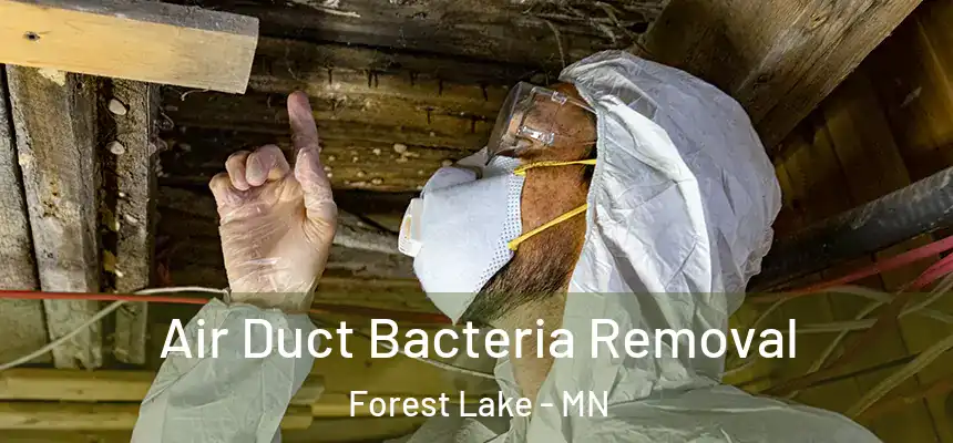  Air Duct Bacteria Removal Forest Lake - MN