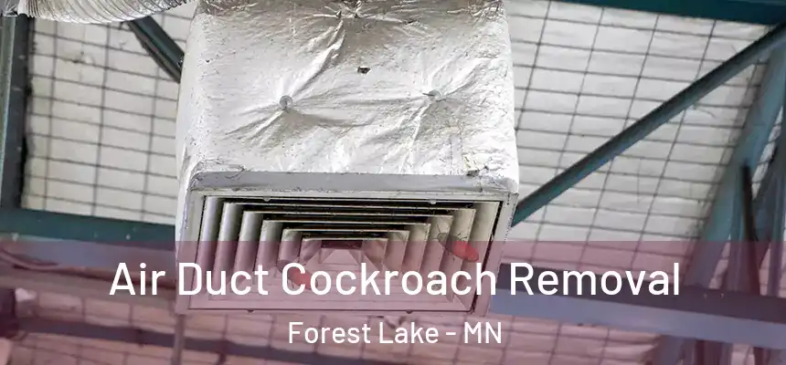 Air Duct Cockroach Removal Forest Lake - MN