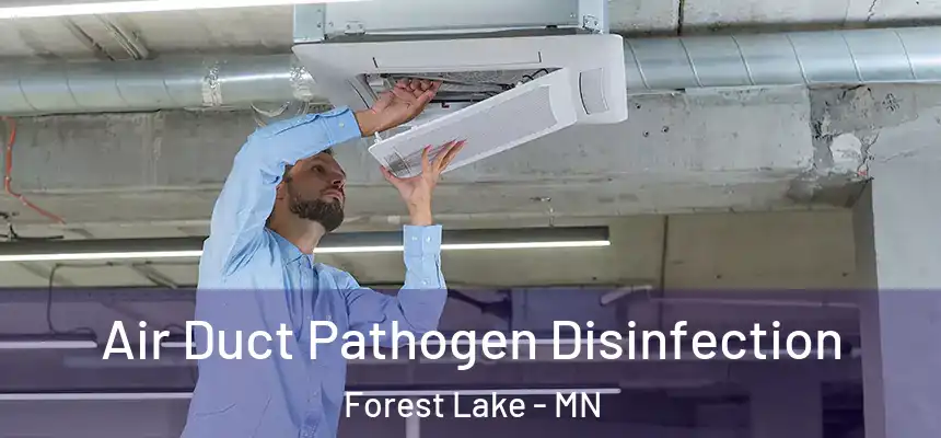 Air Duct Pathogen Disinfection Forest Lake - MN