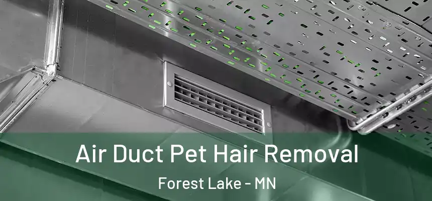Air Duct Pet Hair Removal Forest Lake - MN