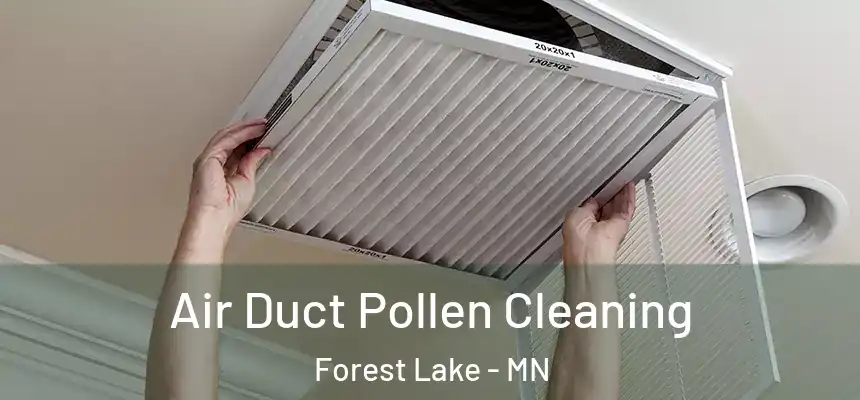  Air Duct Pollen Cleaning Forest Lake - MN