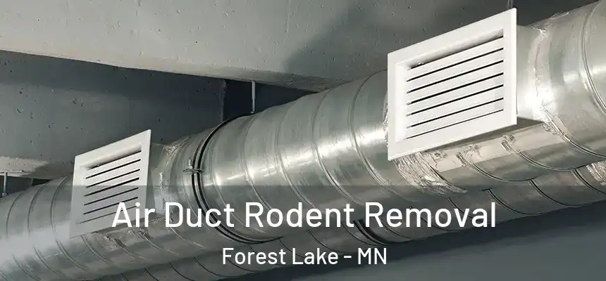  Air Duct Rodent Removal Forest Lake - MN