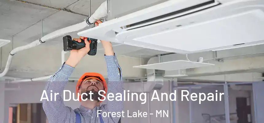 Air Duct Sealing And Repair Forest Lake - MN
