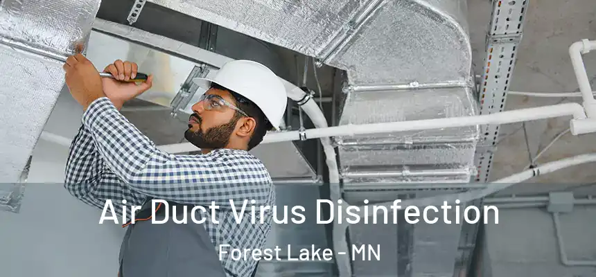 Air Duct Virus Disinfection Forest Lake - MN