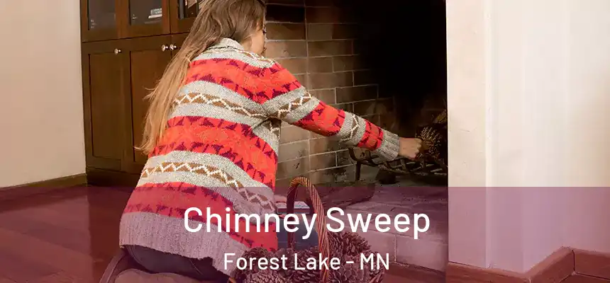 Chimney Sweep Forest Lake - MN