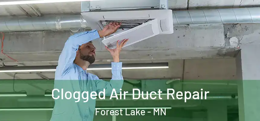 Clogged Air Duct Repair Forest Lake - MN