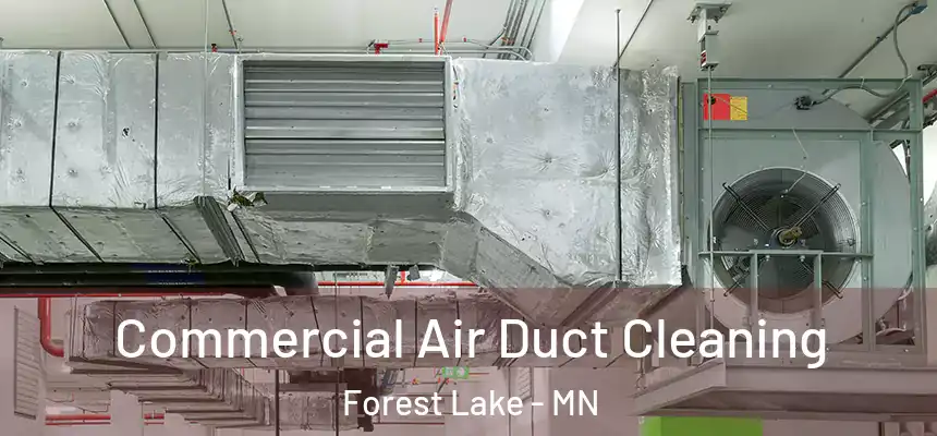 Commercial Air Duct Cleaning Forest Lake - MN