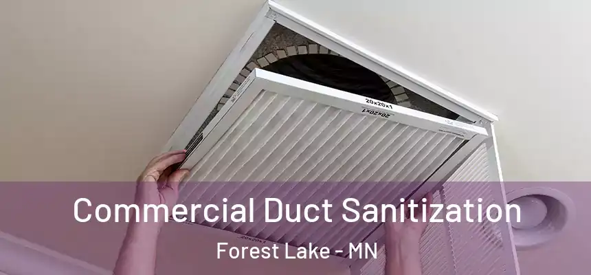 Commercial Duct Sanitization Forest Lake - MN