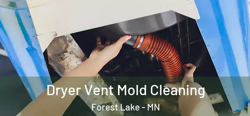  Dryer Vent Mold Cleaning Forest Lake - MN