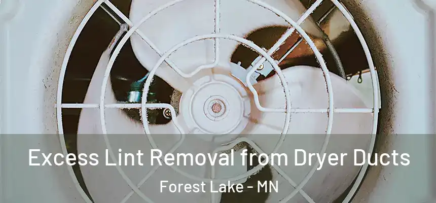 Excess Lint Removal from Dryer Ducts Forest Lake - MN