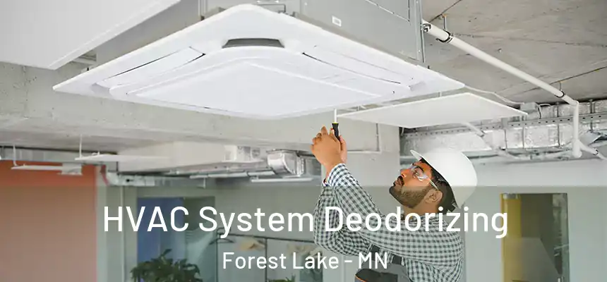  HVAC System Deodorizing Forest Lake - MN