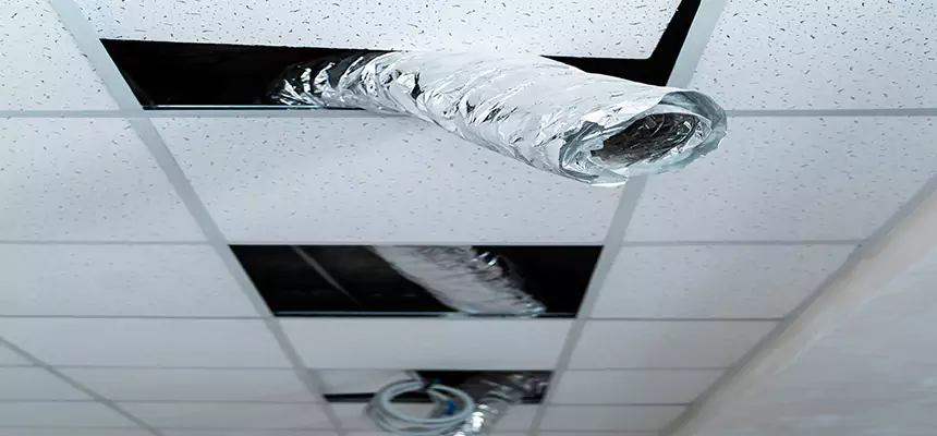 Affordable HVAC Sanitizing After Pest Removal in Forest Lake