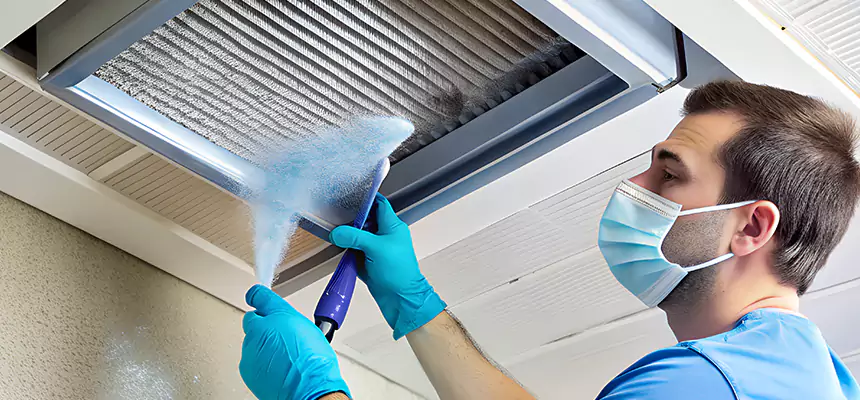 Proactive Dryer Vent & Auxiliary Duct Pollen Cleanup in Forest Lake, MN