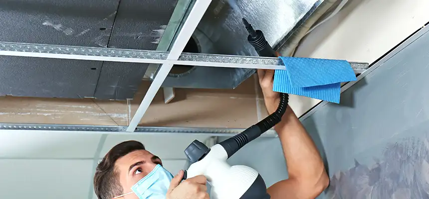Our Air Duct Rodent Removal Services in Forest Lake, MN