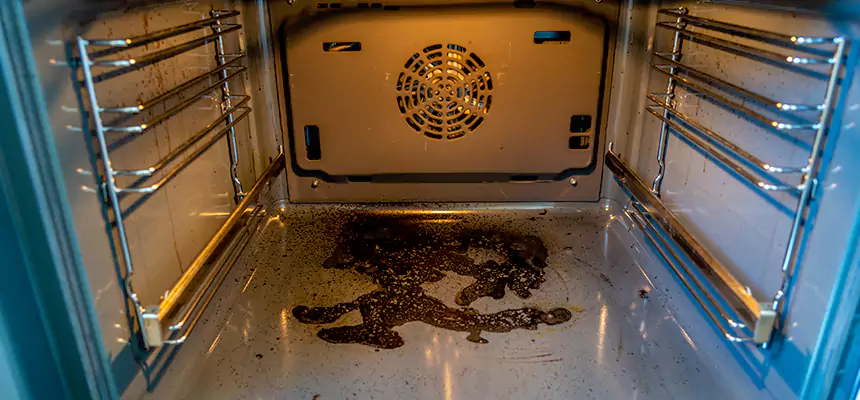 Our Dryer Vent Mold Cleaning Services in Forest Lake, MN