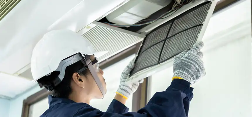 Our Lint Trap Cleaning Service Services in Forest Lake, MN