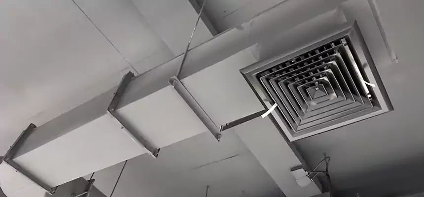 Our Pest Removal From Ducts Services in Forest Lake, MN