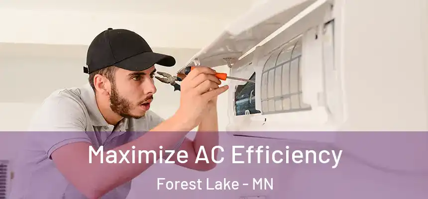 Maximize AC Efficiency Forest Lake - MN