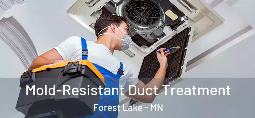 Mold-Resistant Duct Treatment Forest Lake - MN