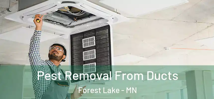  Pest Removal From Ducts Forest Lake - MN