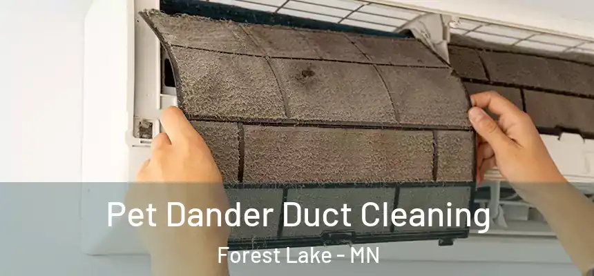 Pet Dander Duct Cleaning Forest Lake - MN