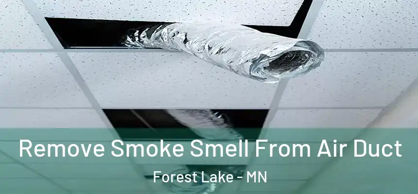 Remove Smoke Smell From Air Duct Forest Lake - MN