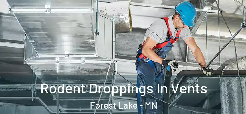 Rodent Droppings In Vents Forest Lake - MN