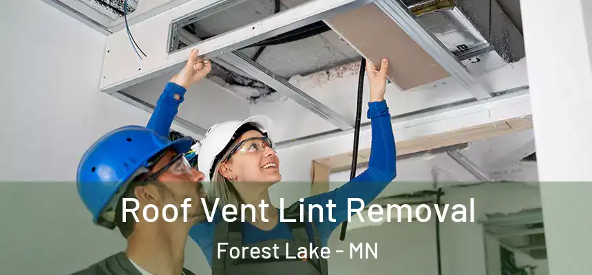 Roof Vent Lint Removal Forest Lake - MN