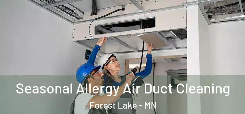 Seasonal Allergy Air Duct Cleaning Forest Lake - MN