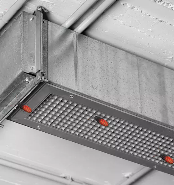 About Air Duct Cockroach Removal in Forest Lake, MN