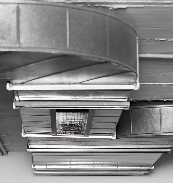 Professional Air Duct Pet Hair Removal in Forest Lake, MN