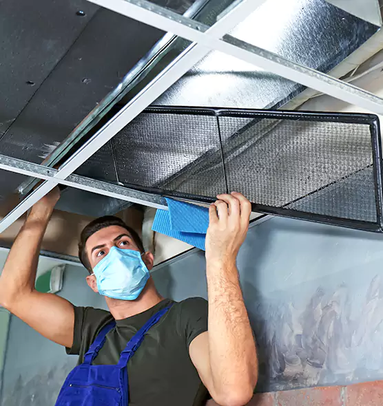 Professional Air Duct Pollen Cleaning in Forest Lake, MN