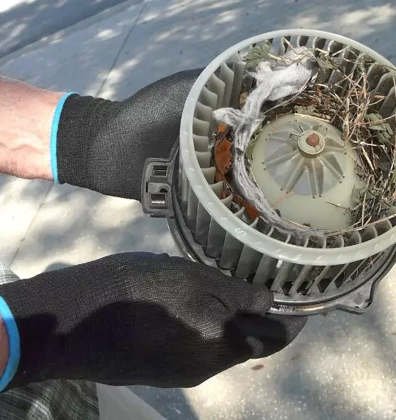 About Air Duct Rat Removal in Forest Lake, MN