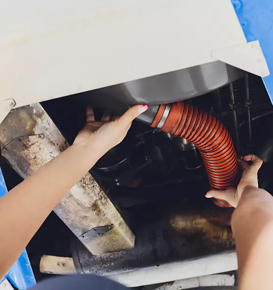 About Air Duct Virus Disinfection in Forest Lake, MN