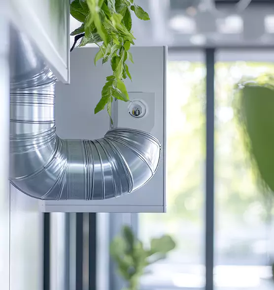 Professional Eco-Safe Dryer Vent Cleaning in Forest Lake, MN