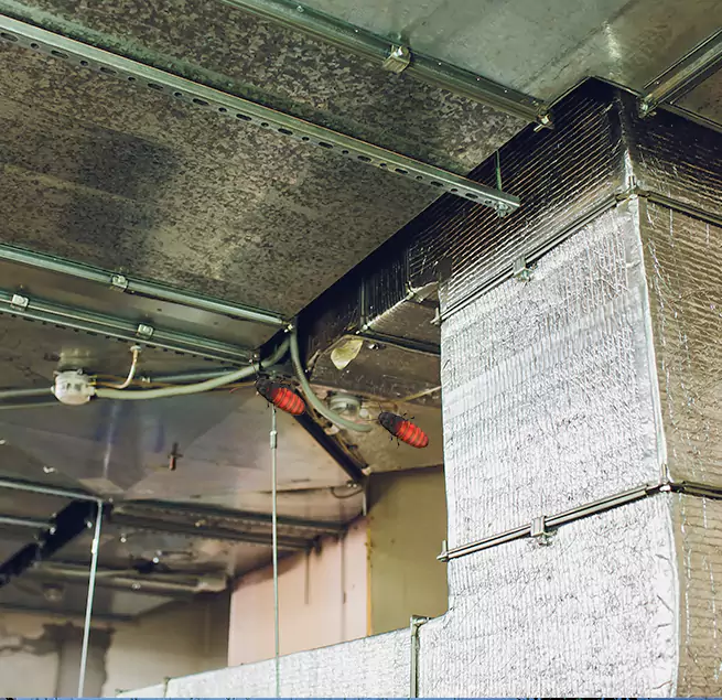 Why Homeowners & Businesses Trust Us in Forest Lake, MN?