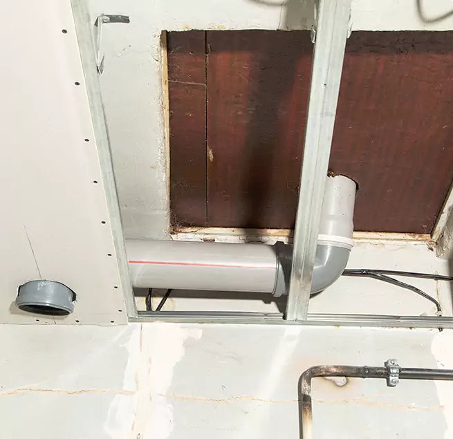 Why Homeowners & Businesses Trust Us in Forest Lake, MN?