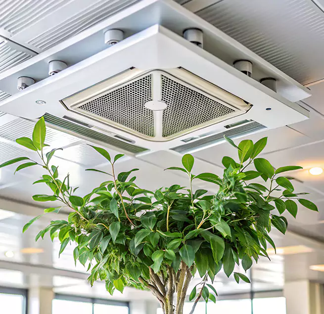 Why Homeowners & Businesses Trust Us in Forest Lake, MN