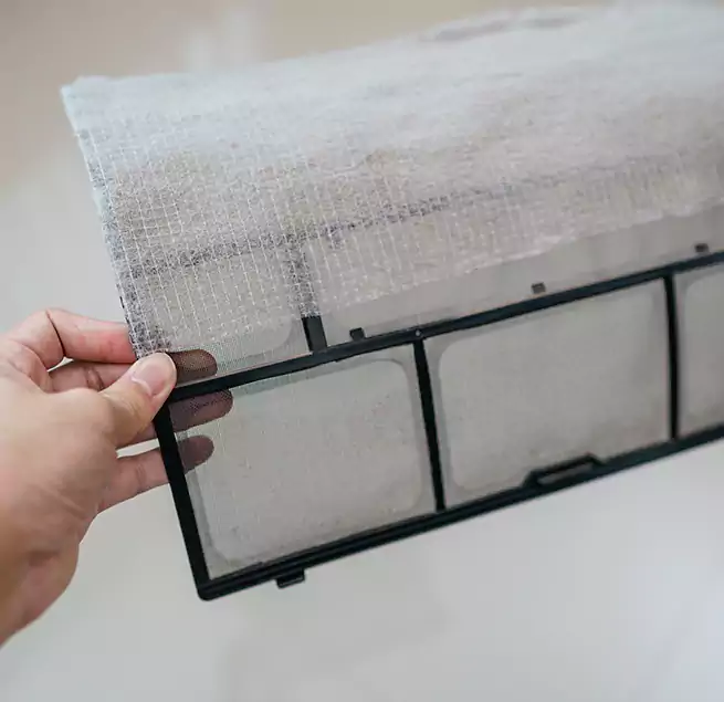 Why Homeowners & Businesses Trust Us in Forest Lake, MN?